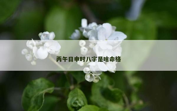 丙午日申时八字是啥命格