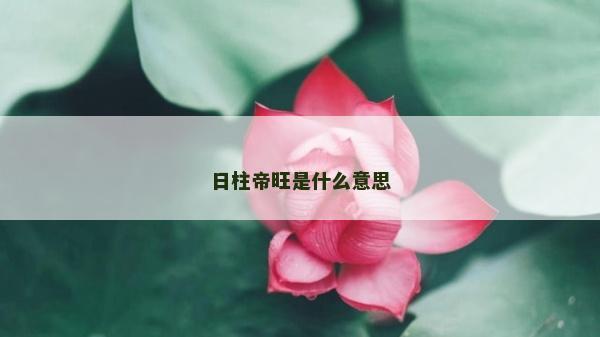 日柱帝旺是什么意思