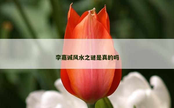 李嘉诚风水之谜是真的吗