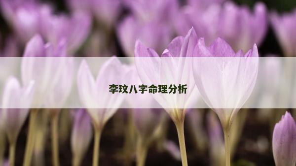 李玟八字命理分析