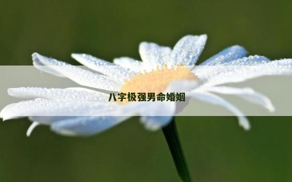 八字极强男命婚姻