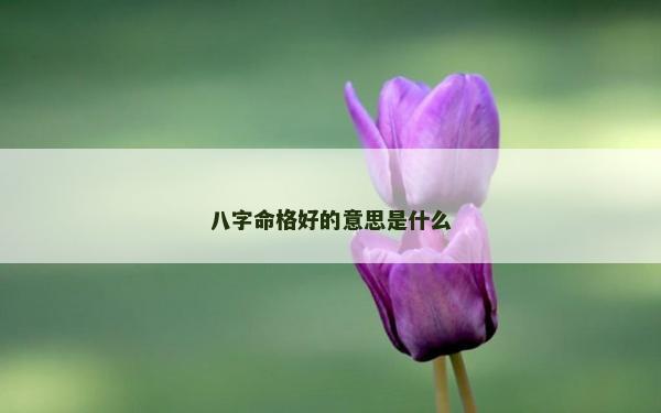 八字命格好的意思是什么