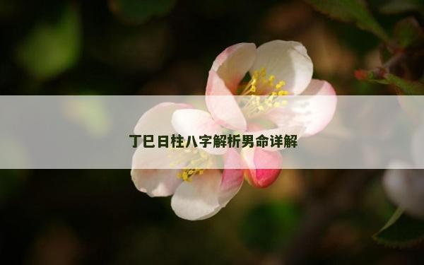 丁巳日柱八字解析男命详解