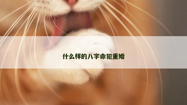 什么样的八字命犯重婚