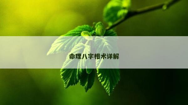 命理八字相术详解
