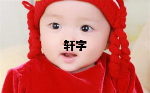轩字取名的寓意和含义 男孩用轩字取名