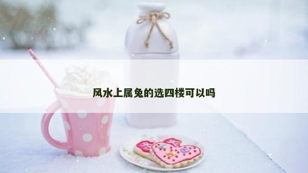 风水上属兔的选四楼可以吗