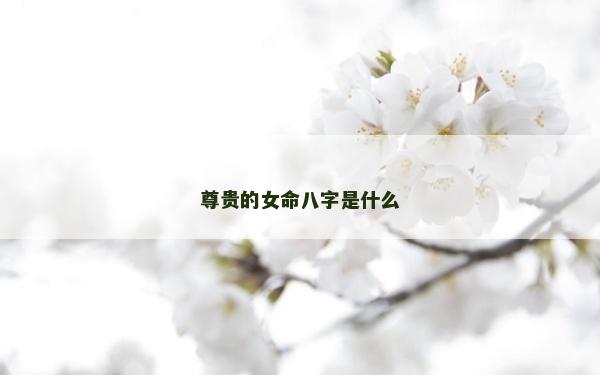 尊贵的女命八字是什么