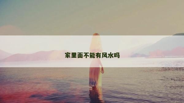 家里面不能有风水吗