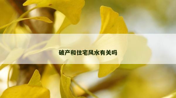 破产和住宅风水有关吗