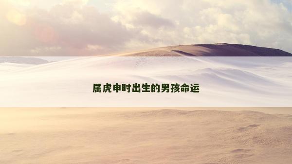 属虎申时出生的男孩命运