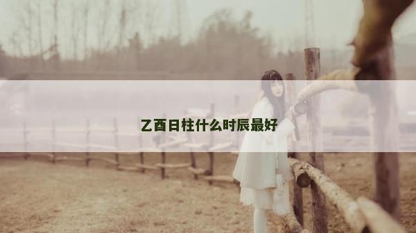 乙酉日柱什么时辰最好