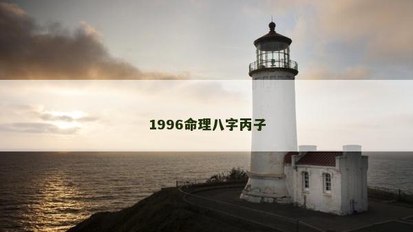 1996命理八字丙子