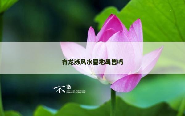 有龙脉风水墓地出售吗