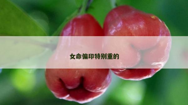 女命偏印特别重的