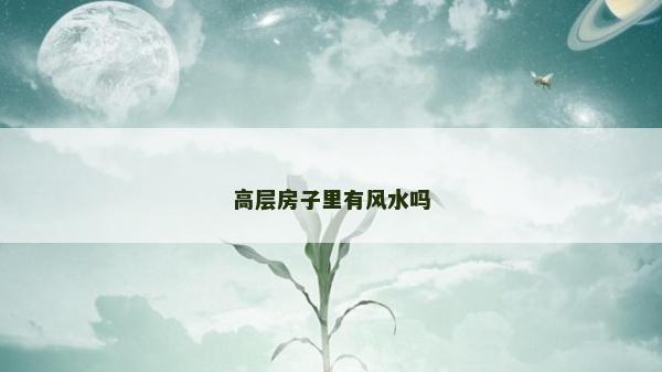 高层房子里有风水吗