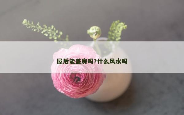 屋后能盖房吗?什么风水吗