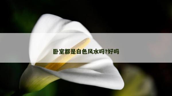 卧室都是白色风水吗?好吗