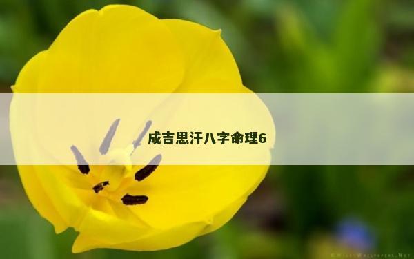 成吉思汗八字命理6