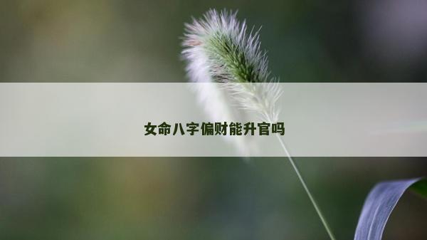 女命八字偏财能升官吗