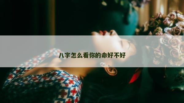 八字怎么看你的命好不好
