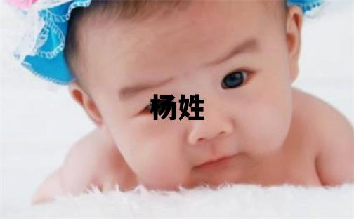 杨姓有含义的男孩名字,取什么名字好