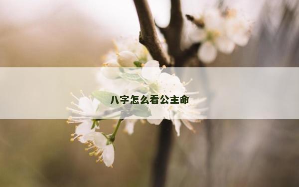 八字怎么看公主命