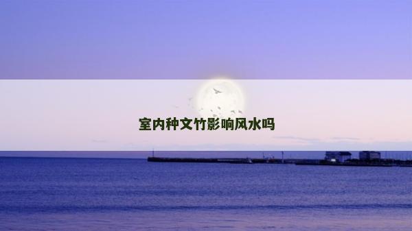 室内种文竹影响风水吗