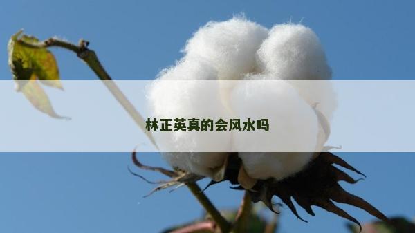 林正英真的会风水吗