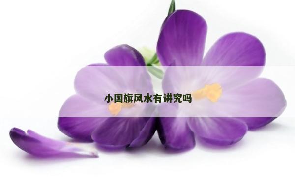 小国旗风水有讲究吗