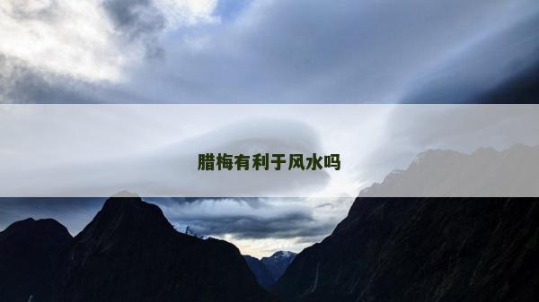 腊梅有利于风水吗
