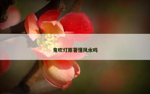 鬼吹灯原著懂风水吗