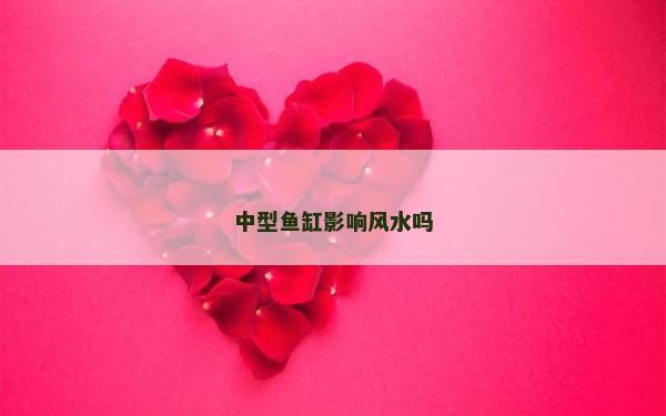 中型鱼缸影响风水吗