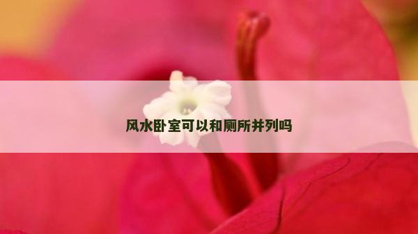 风水卧室可以和厕所并列吗