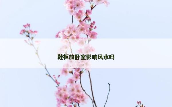 鞋柜放卧室影响风水吗