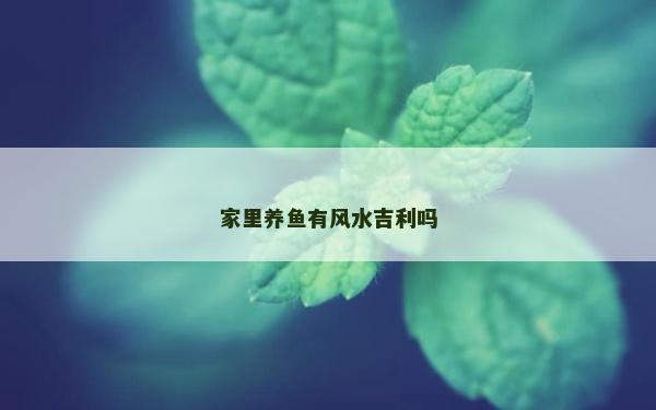 家里养鱼有风水吉利吗