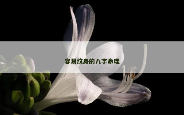 容易纹身的八字命理