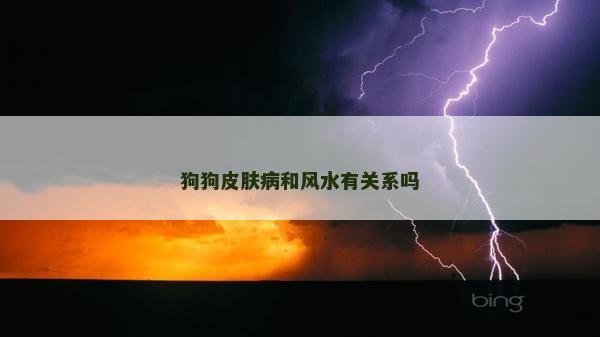 狗狗皮肤病和风水有关系吗