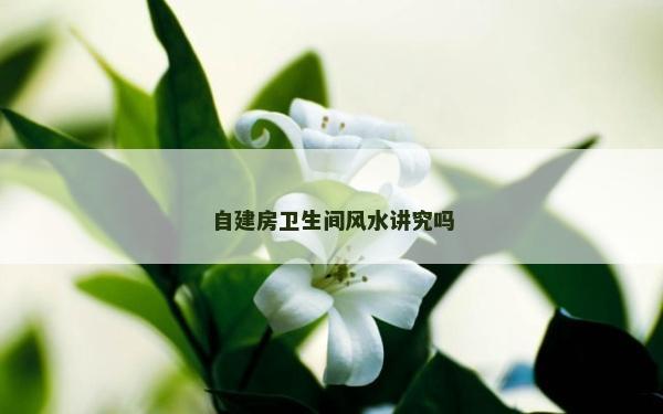 自建房卫生间风水讲究吗