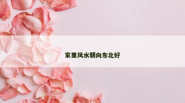 家里风水朝向东北好
