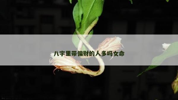 八字里带偏财的人多吗女命