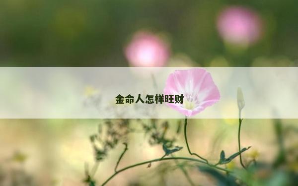 金命人怎样旺财