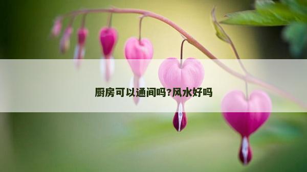 厨房可以通间吗?风水好吗