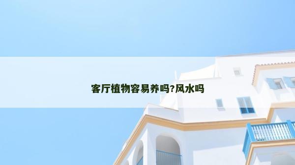 客厅植物容易养吗?风水吗