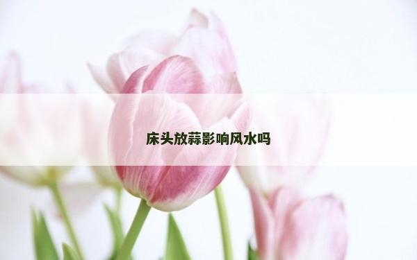 床头放蒜影响风水吗