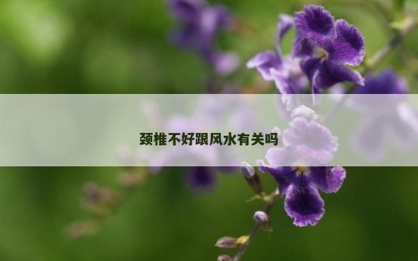 颈椎不好跟风水有关吗