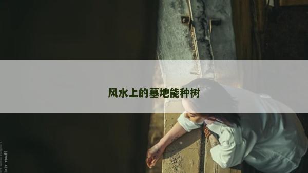 风水上的墓地能种树