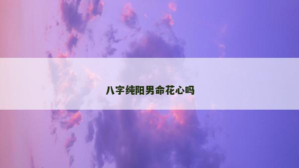 八字纯阳男命花心吗