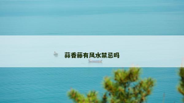 蒜香藤有风水禁忌吗