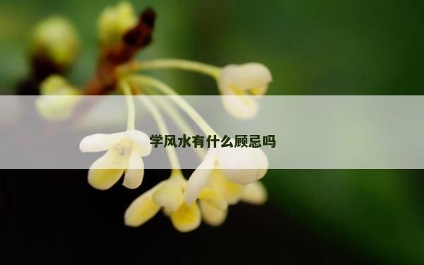 学风水有什么顾忌吗